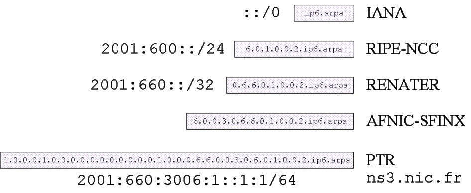 Figure 8 :  Délégation du nommage inverse.