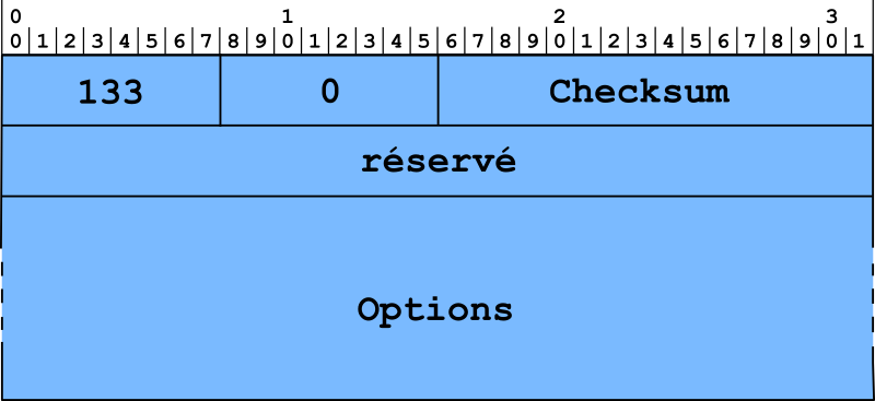 Figure 1 : Format du message de sollicitation d'un routeur.