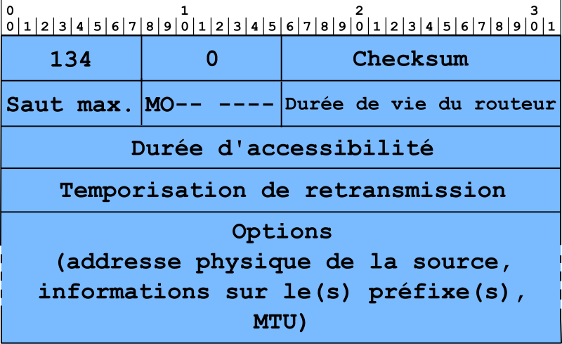 Figure 2 : Format du message d'annonce de routeur.