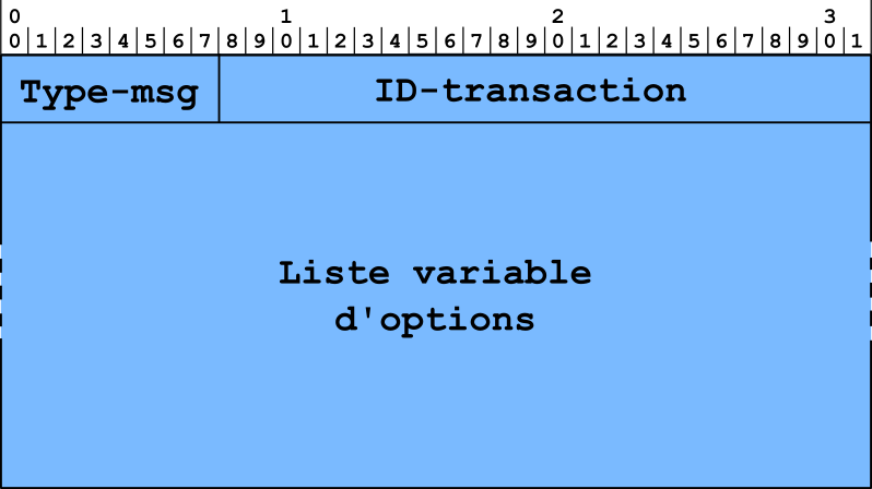Figure 5 : Format des messages échangés entre clients et serveurs DHCPv6.
