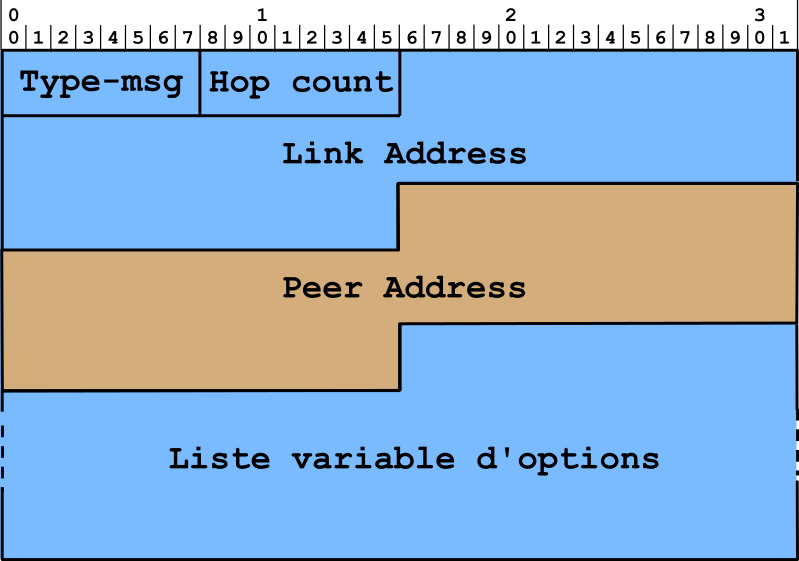Figure 6 : Format des messages échangés entre relais et serveurs DHCPv6.