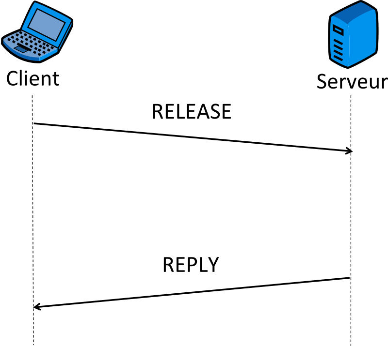 Figure 3 : Libération d'une adresse IPv6 obtenue directement d'un serveur DHCPv6.