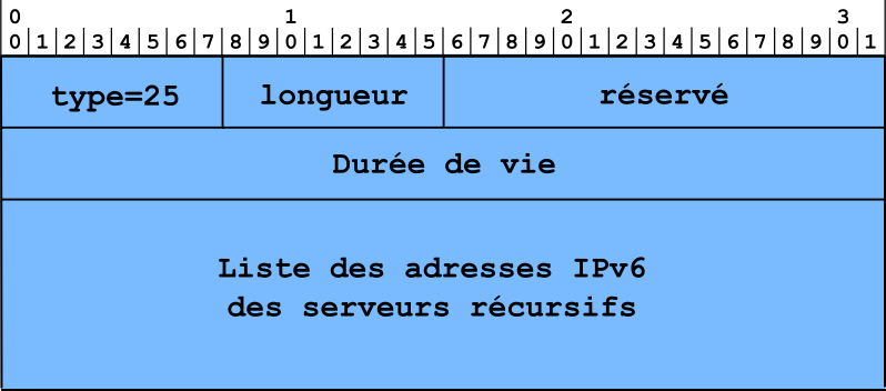 Figure 10 : Format d'une option RDNSS