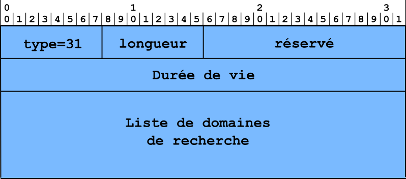 Figure 11 : Format d'une option DNSSL