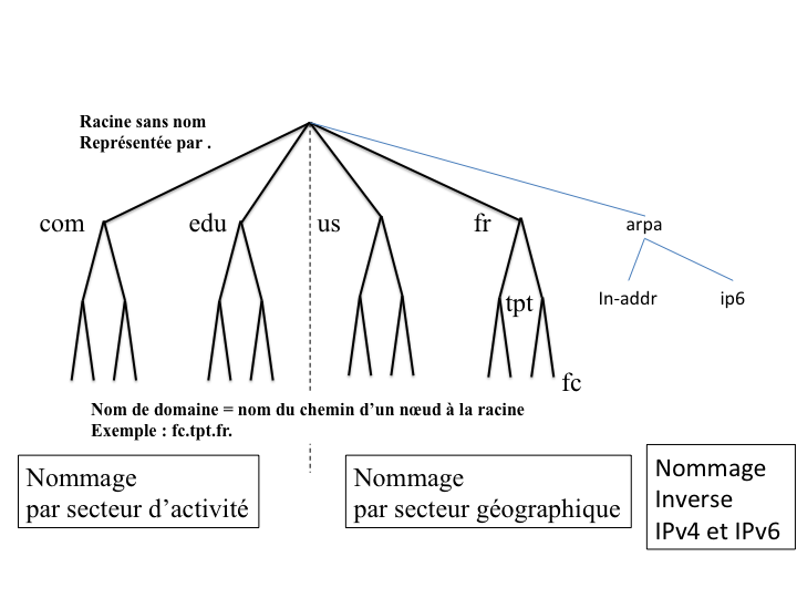 Figure 1 : Arbre de nommage.