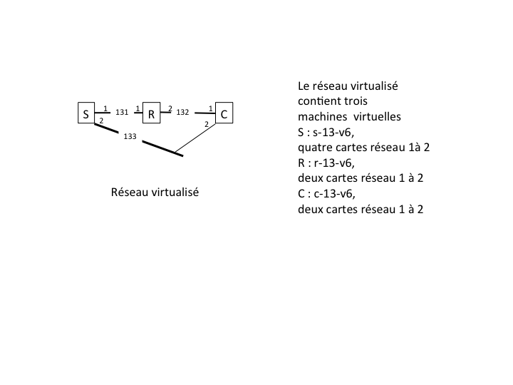 Figure 14 : Réseau virtualisé pour générer ces exemples.