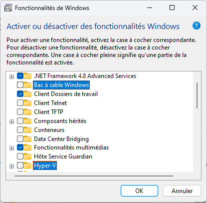 Figure 9 : Windows 10 Hyper-V et Sandboxcheck-box.